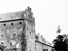 Georgenburg castle