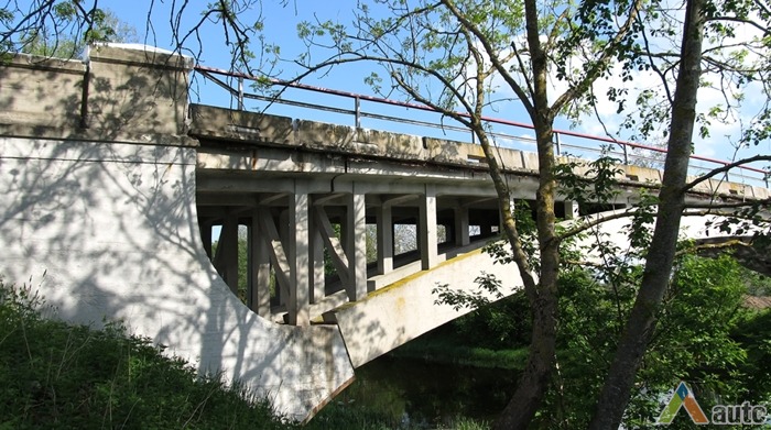Paliūniškio tiltas. R. Naujoko nuotr., 2011 m.
