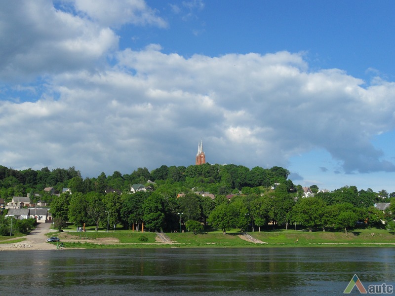 Vilkijos miesto vaizdas nuo kairiojo Nemuno kranto. Ž. Rinkšelio nuotr., 2013 m.
