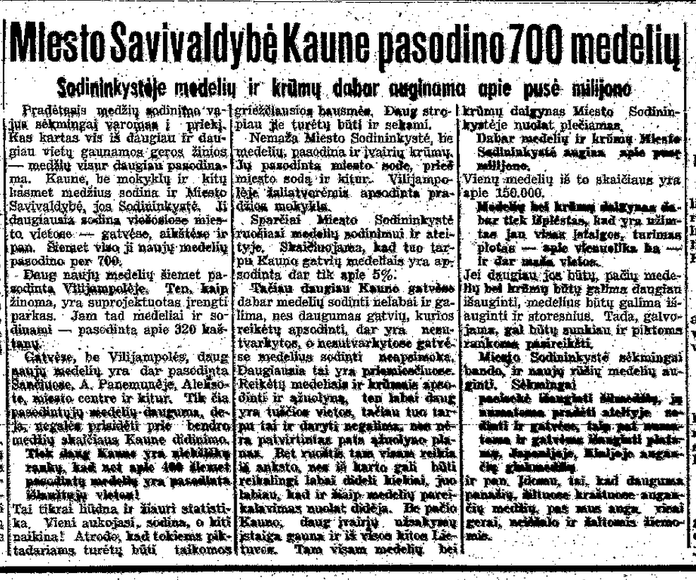 Miesto savivaldybė Kaune pasodino 700 medelių